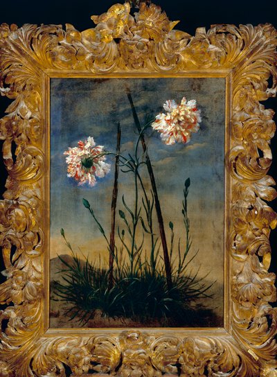 Carnations by Bartolomeo Bimbi
